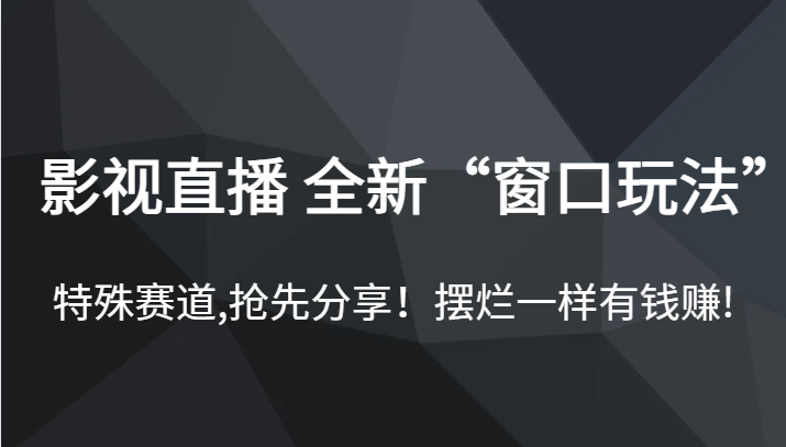 影视直播 全新“窗口玩法”，特殊赛道,抢先分享！摆烂一样有钱赚!-十一网创