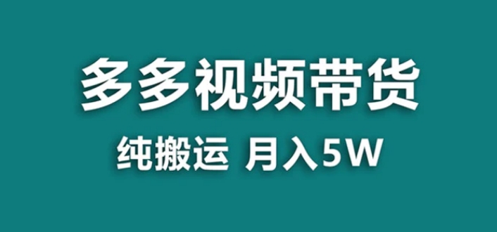 【蓝海项目】多多视频带货，靠纯搬运一个月搞5w，新手小白也能操作【揭秘】-十一网创