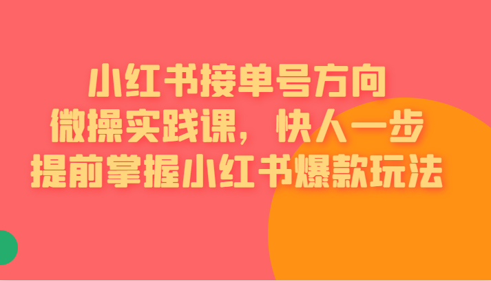 小红书接单号方向微操实践课，快人一步提前掌握小红书爆款玩法-十一网创