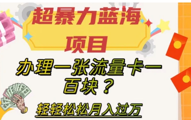 超暴力蓝海项目，办理一张流量卡一百块？轻轻松松月入过万，保姆级教程【揭秘】-十一网创