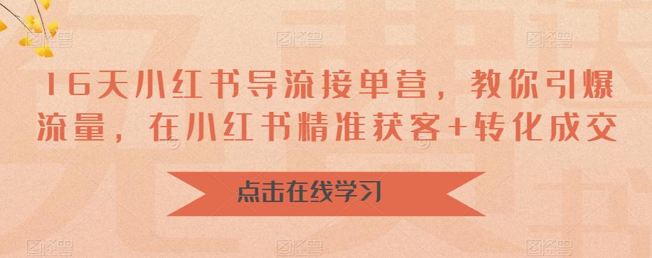 16天-小红书 导流接单营，教你引爆流量，在小红书精准获客+转化成交-十一网创