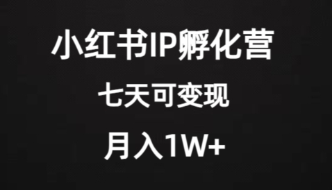 价值2000+的小红书IP孵化营项目，超级大蓝海，七天即可开始变现，稳定月入1W+-十一网创