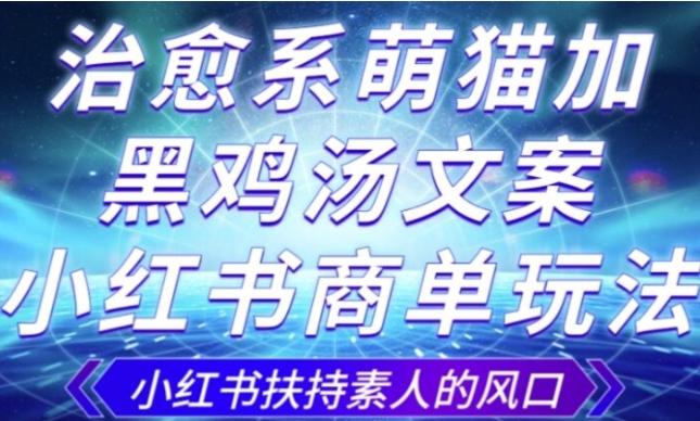 治愈系萌猫加+黑鸡汤文案，小红书商单玩法，3~10天涨到1000粉，一单200左右-十一网创