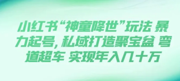 小红书“神童降世”玩法 暴力起号,私域打造聚宝盆 弯道超车 实现年入几十万-十一网创