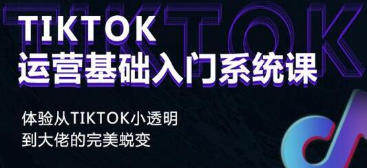 《Tiktok运营基础入门系统课》从tiktok小白到大佬的完美蜕变-十一网创