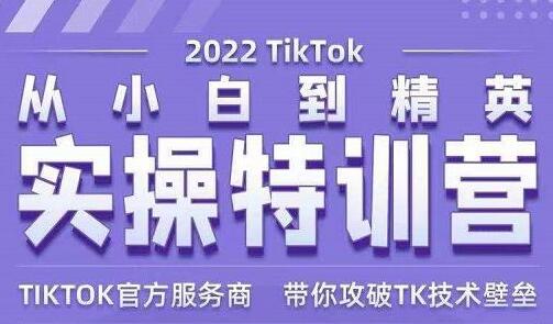 Seven漆《Tiktok从小白到精英实操特训营》带你掌握Tiktok账号运营-十一网创