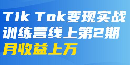 龟课-TikTok变现实战训练营 第2-4期 月收益上万不成问题-十一网创