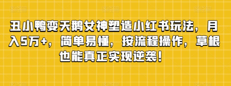 丑小鸭变天鹅女神塑造小红书玩法，月入5万+，简单易懂，按流程操作，草根也能真正实现逆袭！-十一网创