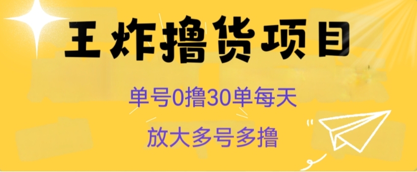 王炸撸货项目，单号0撸30单每天，多号多撸【揭秘】-十一网创