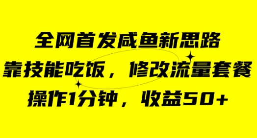 咸鱼冷门新玩法，靠“技能吃饭”，修改流量套餐，操作1分钟，收益50+-十一网创