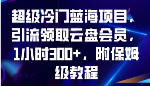 超级冷门蓝海项目，引流领取云盘会员，1小时300+，附保姆级教程-十一网创