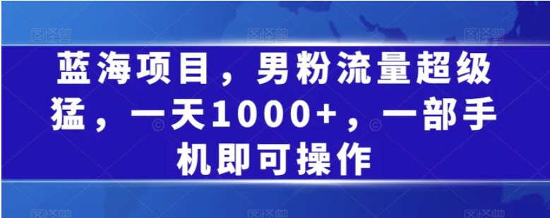 蓝海项目，男粉流量超级猛，一天1000+，一部手机即可操作【揭秘】-十一网创