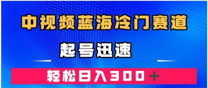 中视频蓝海冷门赛道，韩国视频奇闻解说，起号迅速，日入300＋-十一网创