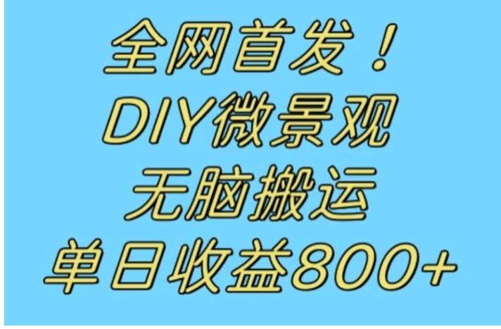 全网首发冷门赛道！DIY微景观，无脑搬运视频，日收益800+【揭秘】-十一网创