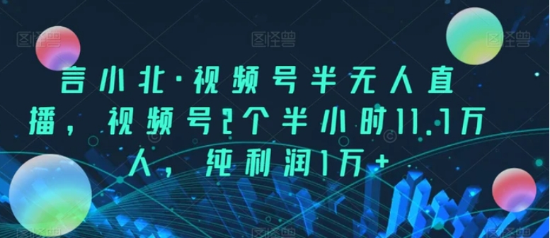 言小北·视频号半无人直播，视频号2个半小时11.7万人，纯利润1万+-十一网创