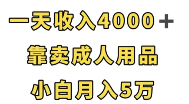 一天收入4000+，靠卖成人用品，小白轻松月入5万【揭秘】-十一网创