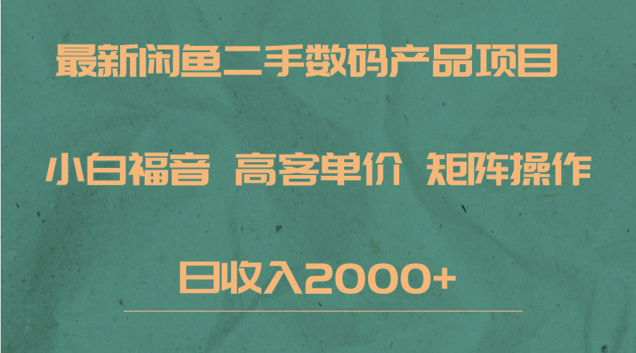 最新闲鱼二手数码赛道，小白福音，高客单价，矩阵操作，日收入2000+-十一网创