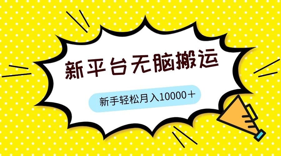 新平台用软件无脑搬运，月赚10000+，小白也能轻松上手-十一网创