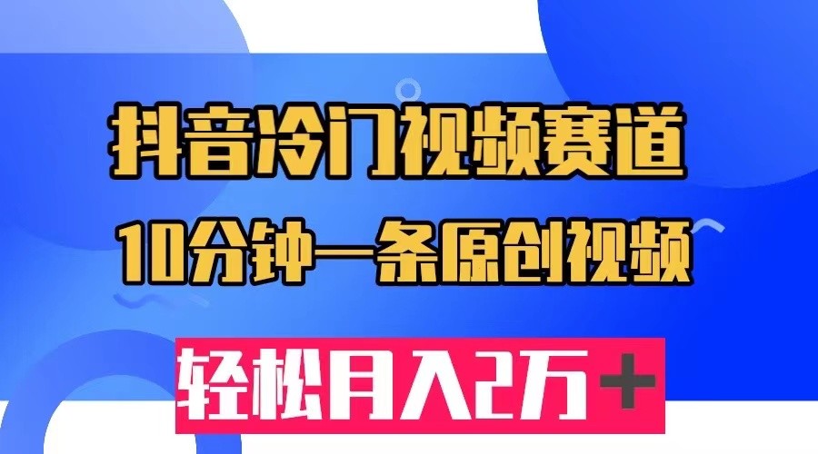 抖音冷门视频赛道，10分钟一条视频，轻松月入2W＋-十一网创