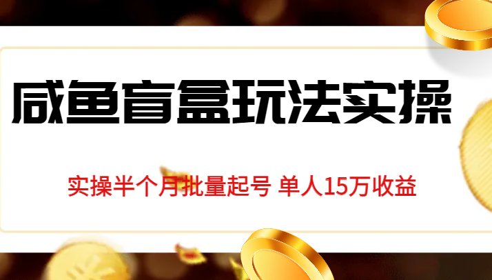 独家首发咸鱼盲盒玩法实操，半个月批量起号单人15万收益揭秘-十一网创