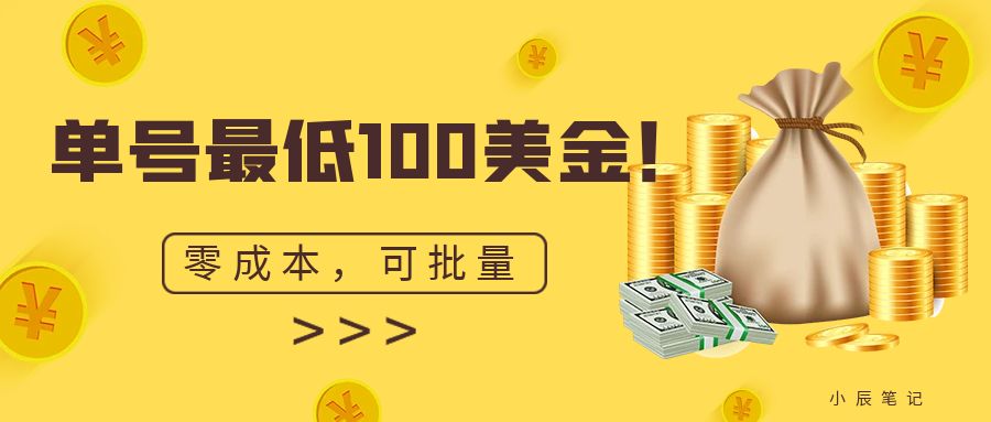 单号最低100美金，零成本，小白无脑操作。可复制，可扩大。-十一网创