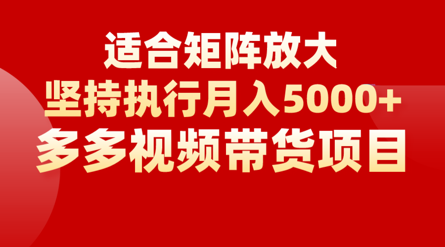 矩阵操作月入5000+，多多视频带货项目，适合新手，也适合老手放大-十一网创