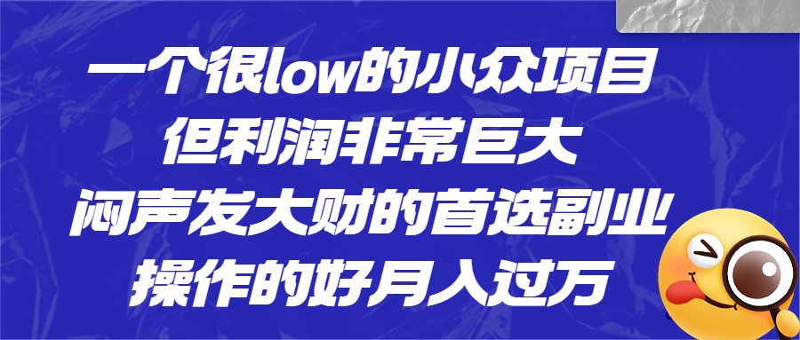 一个很low的小众项目，但利润非常巨大，闷声发大财的首选副业，月入1W+-十一网创