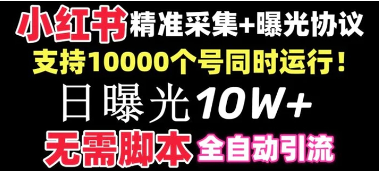 【价值10万！】小红书全自动采集+引流协议一体版！无需手机，支持10000个号同时运行-十一网创