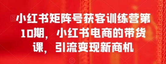 小红书矩阵号获客训练营第10期，小红书电商的带货课，引流变现新商机-十一网创