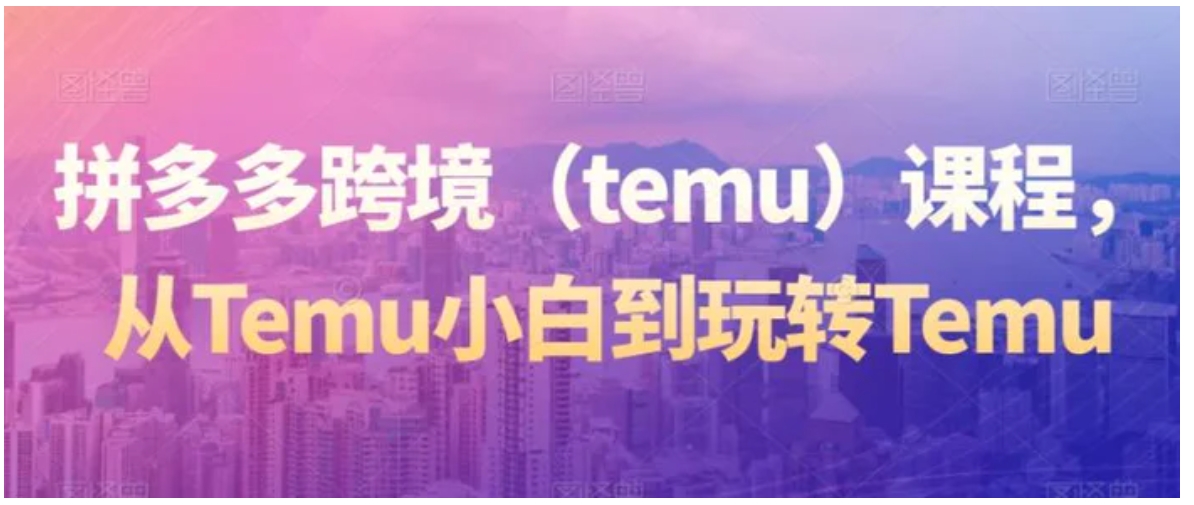 拼多多跨境课程，从Temu小白到玩转Temu-十一网创