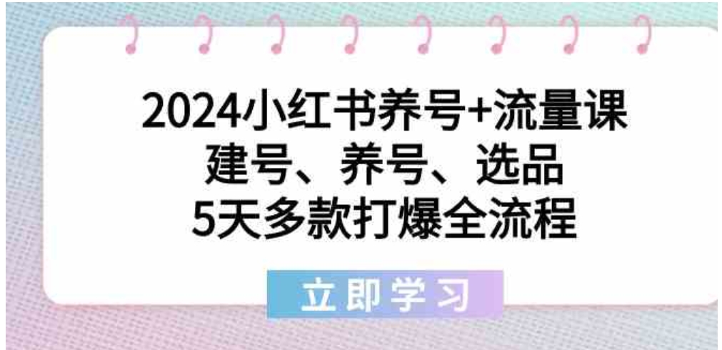 2024小红书养号+流量课：建号、养号、选品，5天多款打爆全流程-十一网创