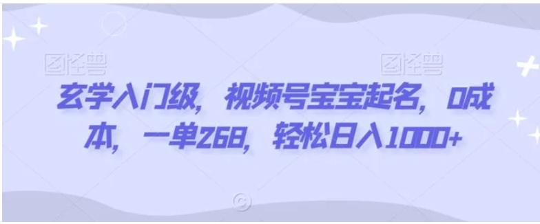 玄学入门级，视频号宝宝起名，0成本，一单268，轻松日入1000+-十一网创