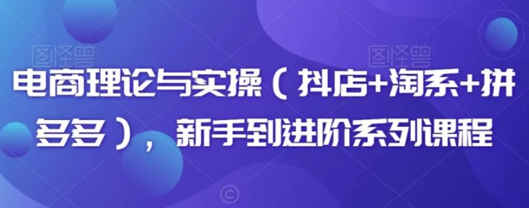 电商理论与实操，新手到进阶系列课程-十一网创