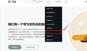 校对作业文件项目，轻松赚美刀，操作简单！-十一网创