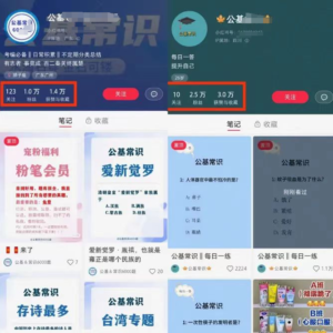 小红书商单【公基宝藏赛道】，操作简单，5-7天涨1000+粉-十一网创