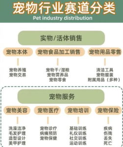 小红书宠物项目：长期稳定，月入8000+-十一网创