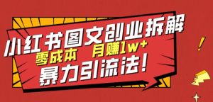 小红书图文创业拆解，暴力引流法，零成本月入1w+【揭秘】-十一网创