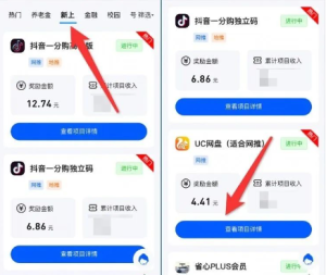 网盘拉新项目揭秘：如何利用网盘拉新日撸1000+，UC网盘拉新项目，蓝海项目空白市场！-十一网创