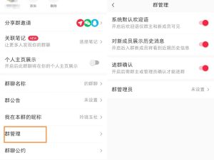 小红薯群禁言副业项目思路，利用信息差零成本月入过万-十一网创