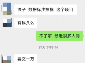 外面收费两千到一万的数据标注项目拆解，是否真能日入七八百？推荐几个免费做的平台。-十一网创