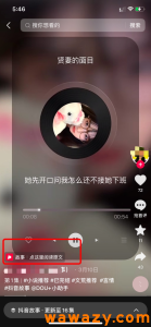 抖音故事蓝海项目，单日收入500+，人人皆可做！-十一网创