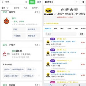 抖音搅局音乐市场，第一时间入局抓住风口，每天变现100+-十一网创