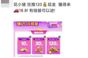 花小猪白撸120元，多号多撸，入口有人收费18.8，《免费分享》-十一网创