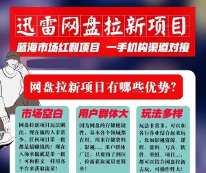 迅雷网盘拉新项目，通过短视频轻松引流，每月搞几个W-十一网创