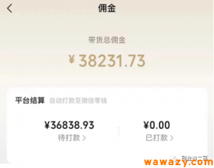 短视频带货：每月收入3万多的副业一部手机你也可以操作-十一网创