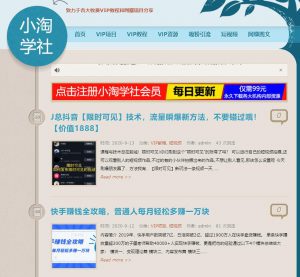 利用云盘精灵引流操作付费资源项目月入过万-十一网创