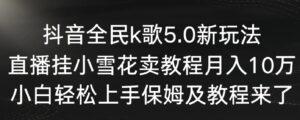 抖音全民k歌5.0新玩法，直播挂小雪花卖教程月入10万，小白轻松上手，保…-十一网创