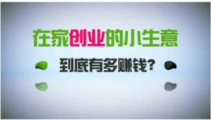 在家创业，日引300+创业粉，一年收入30万，闷声发财的小生意，比打工强-十一网创