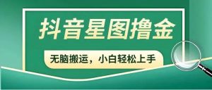 抖音赚钱新手必读：开通星图，参与商务推广任务，轻松增加收益！-十一网创