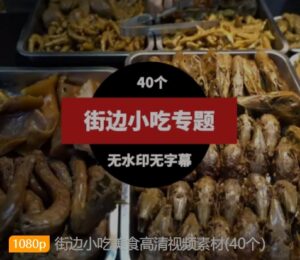 街边小吃美食高清视频素材(40个）-十一网创